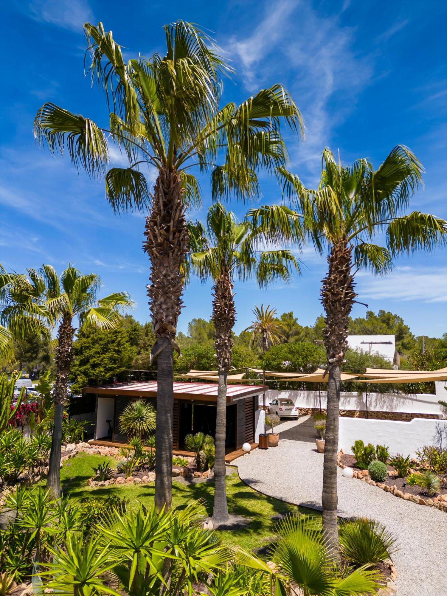 Hotel Boutique Ses Pitreras San Antonio  Luaran gambar